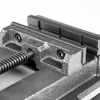 Машинные тиски Proma SVP-125