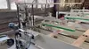 Линия сканирования и вырезки пороков древесины SDC ECO (LC 3800 + OC 5500)