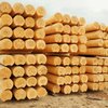 Станок для конусных бревен ОС2-400К