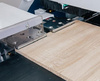 Автоматизированная сверлильно-присадочная ячейка Excitech DRILLING CELL 2 IN 1