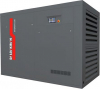 Маслонаполненный винтовой компрессор Dalgakiran INVERSYS 250 PLUS - 13