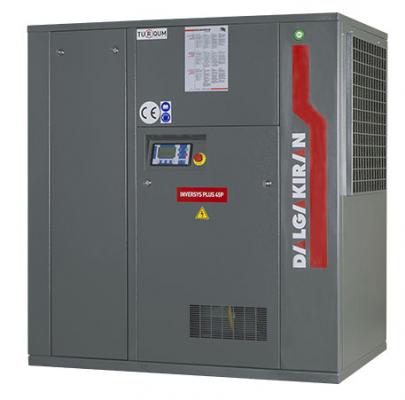 Маслонаполненный винтовой компрессор Dalgakiran INVERSYS 45 PLUS - 13